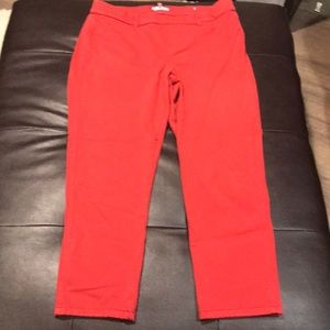 Rust  color Jeggings